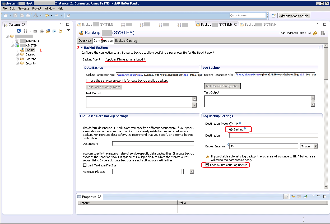 Hana studio backint settings