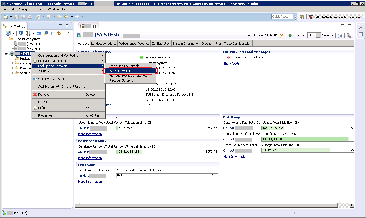 HANA Studio start backup